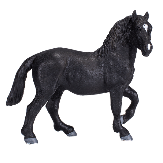 Percheron