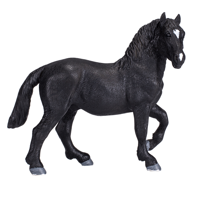 Percheron