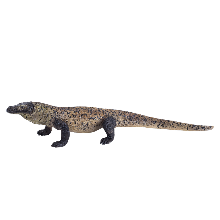 Komodo Dragon